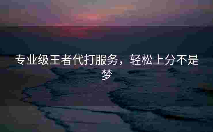 专业级王者代打服务，轻松上分不是梦