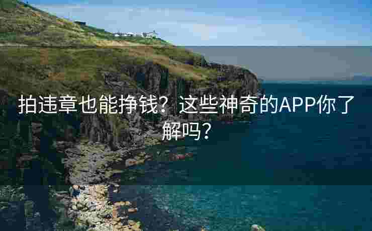 拍违章也能挣钱？这些神奇的APP你了解吗？