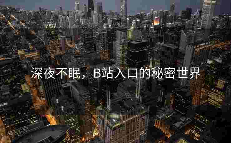 深夜不眠，B站入口的秘密世界