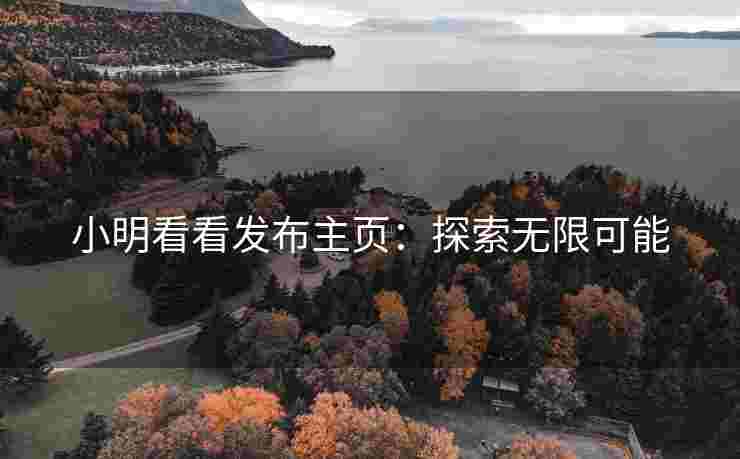小明看看发布主页：探索无限可能