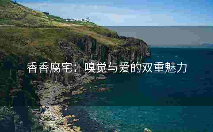香香腐宅：嗅觉与爱的双重魅力