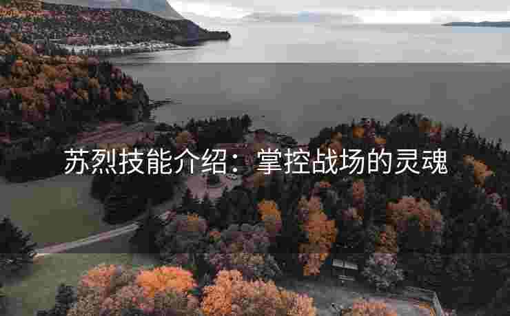 苏烈技能介绍：掌控战场的灵魂