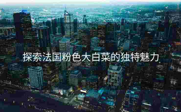 探索法国粉色大白菜的独特魅力