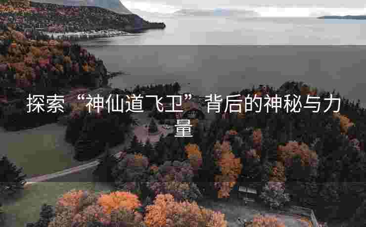 探索“神仙道飞卫”背后的神秘与力量
