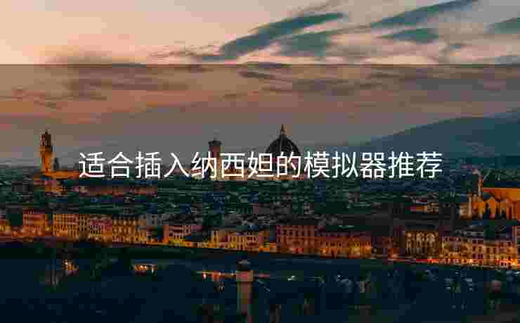 适合插入纳西妲的模拟器推荐