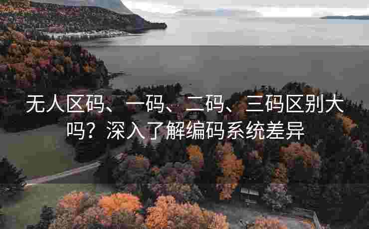 无人区码、一码、二码、三码区别大吗？深入了解编码系统差异