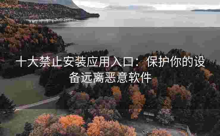 十大禁止安装应用入口：保护你的设备远离恶意软件
