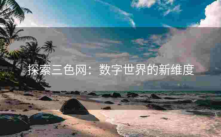 探索三色网：数字世界的新维度