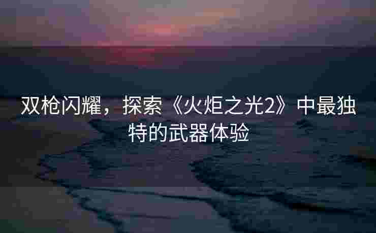 双枪闪耀，探索《火炬之光2》中最独特的武器体验