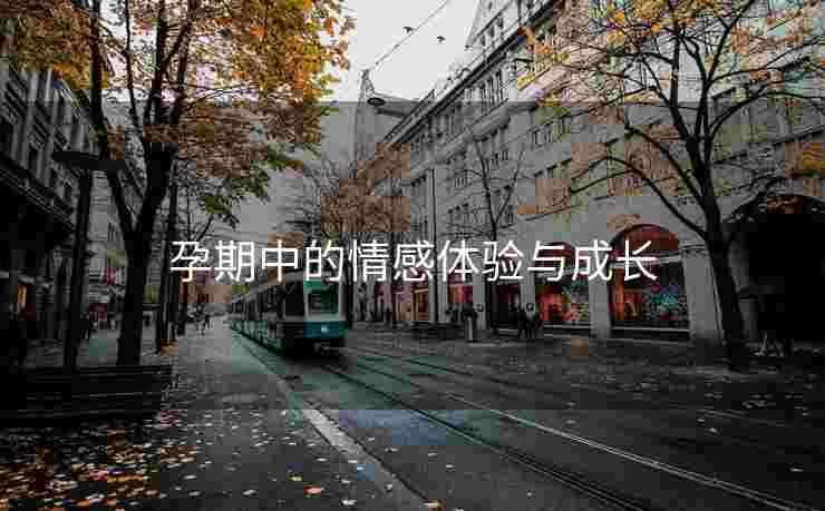 孕期中的情感体验与成长