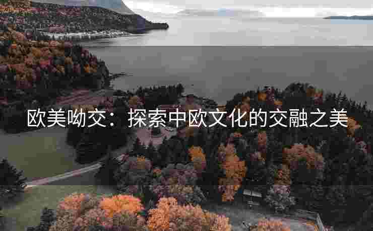 欧美呦交：探索中欧文化的交融之美